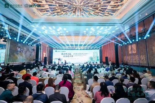 碧桂园国台酒最新爆料,揭秘高端白酒市场新篇章