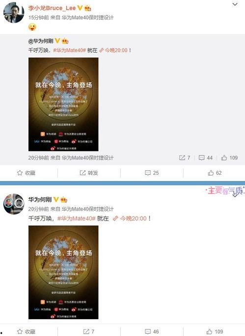 小万爆料视频大全最新章节,揭秘娱乐圈幕后真相